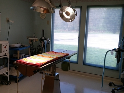 The Surgery Room