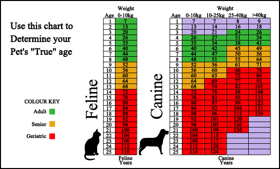 Pet Health Clinic  - Surveillance Screening