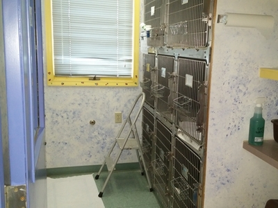 Cat Kennels